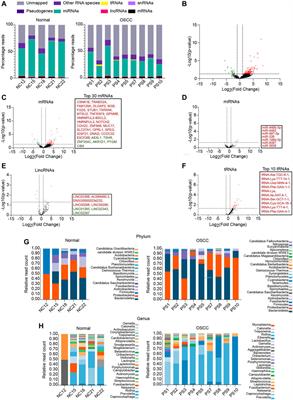 Salivary protein kinase C alpha and novel microRNAs as diagnostic and therapeutic resistance markers for oral squamous cell carcinoma in Indian cohorts